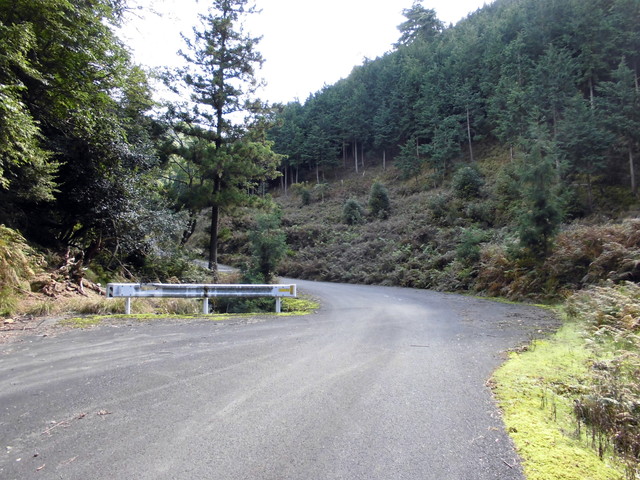 isanago11.jpg