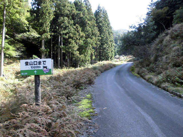 isanago12.jpg