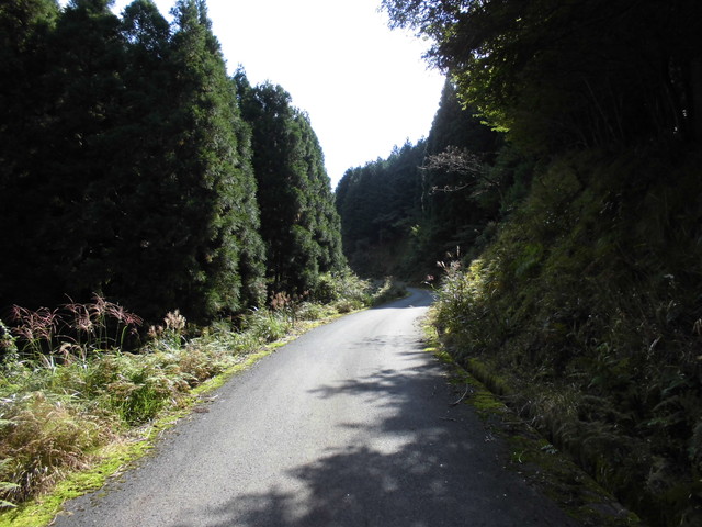 isanago14.jpg