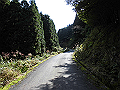 isanago14_thumb.png