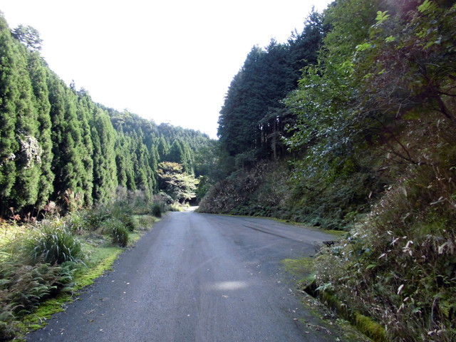 isanago15.jpg