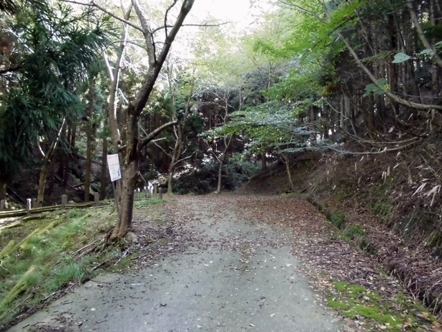 isanago22.jpg