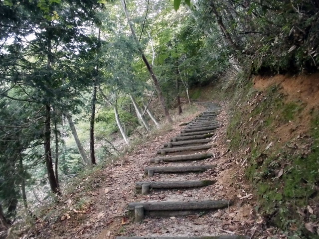 isanago28.jpg