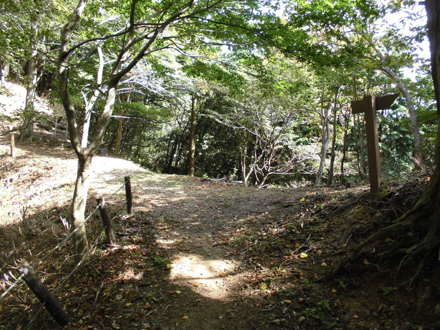 isanago31.jpg