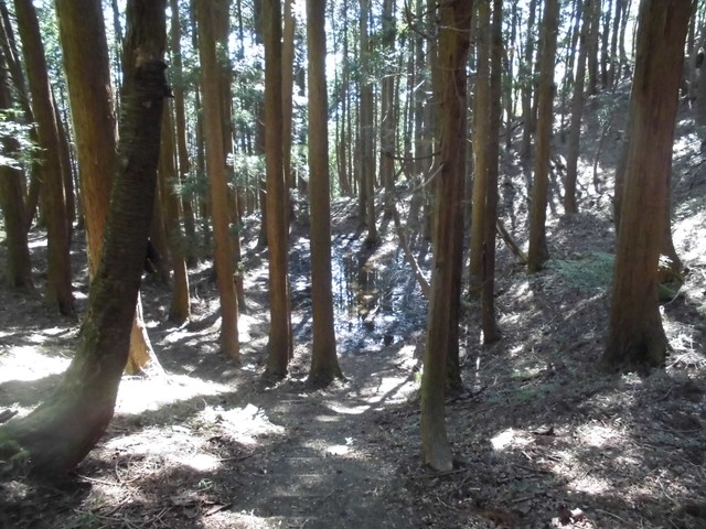 isanago33.jpg