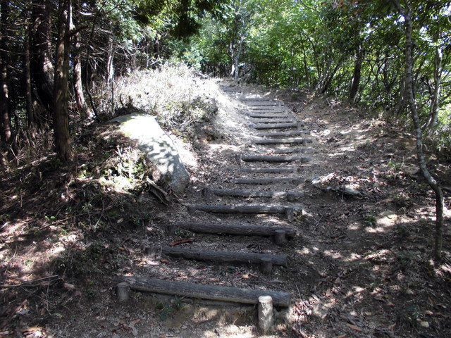 isanago40.jpg