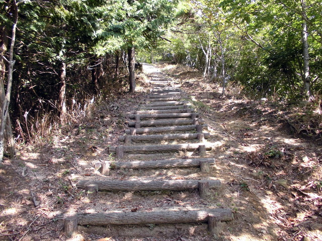 isanago43.jpg