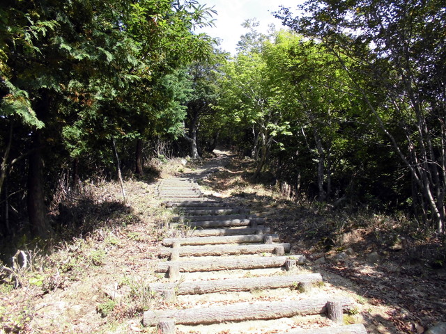 isanago44.jpg