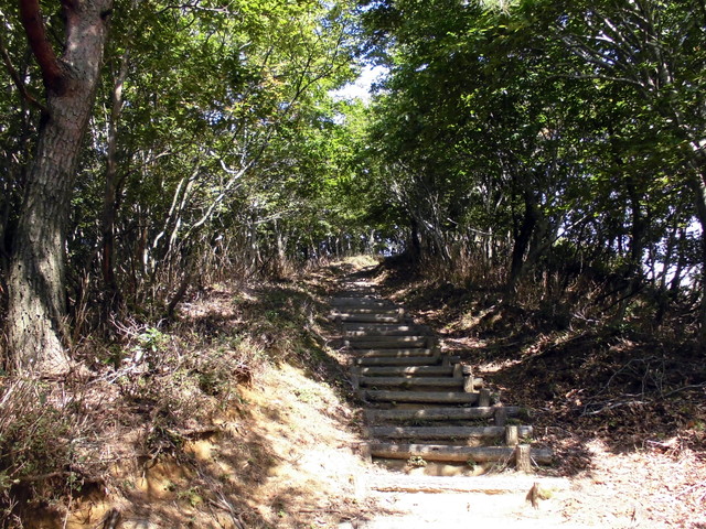 isanago46.jpg