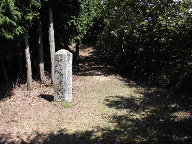 isanago49.jpg