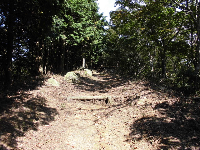 isanago50.jpg