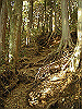 kintoki25_thumb.png