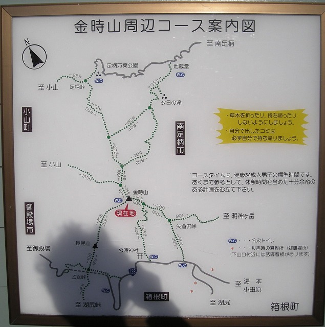 kintoki40.jpg