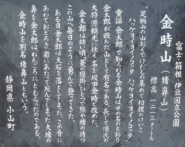 kintoki45.jpg