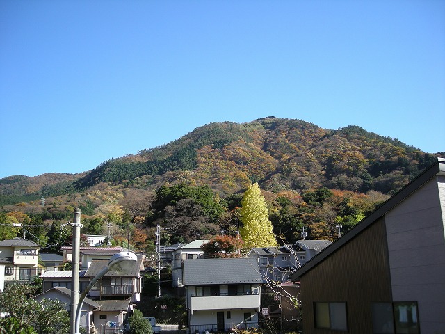 kintoki005.jpg