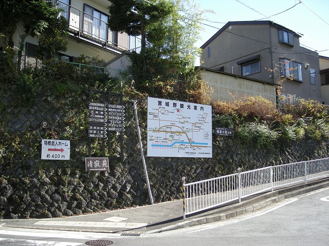 kintoki008.jpg