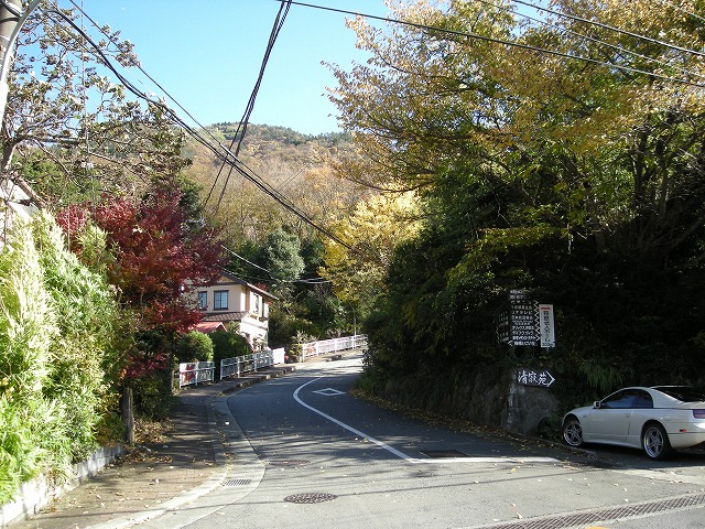 kintoki009.jpg