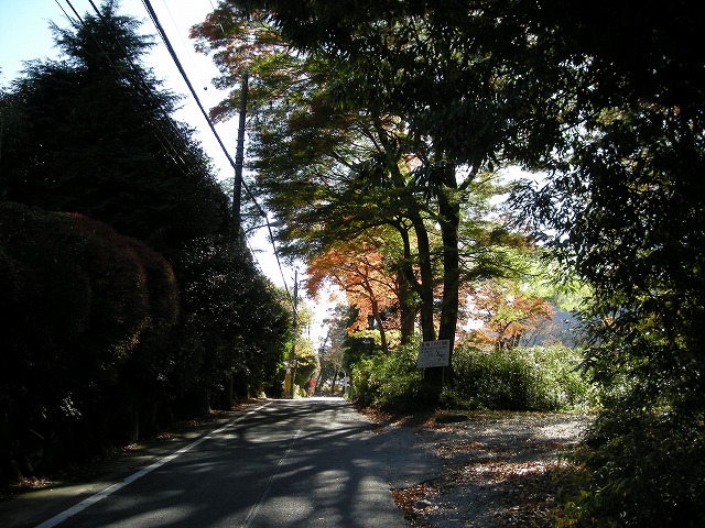 kintoki010.jpg