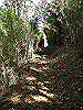 kintoki022_thumb.png