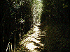 kintoki028_thumb.png