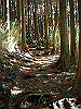 kintoki029_thumb.png