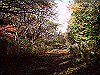 kintoki036_thumb.png