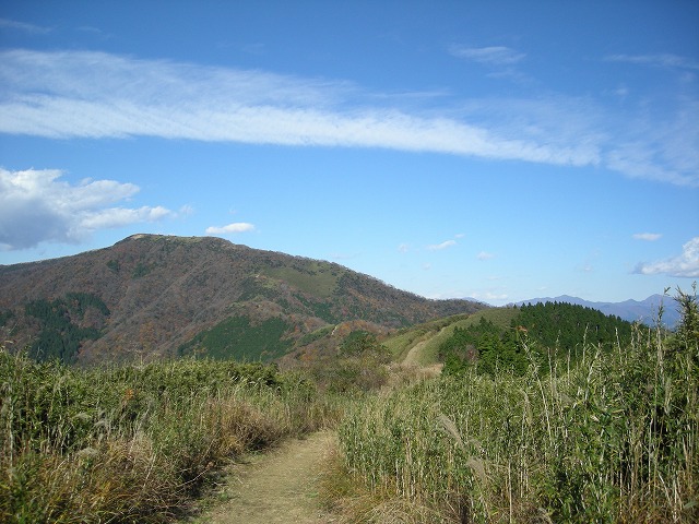 kintoki040.jpg