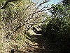 kintoki055_thumb.png