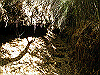 kintoki059_thumb.png