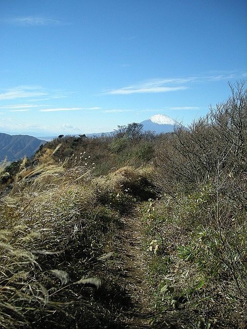 kintoki081.jpg