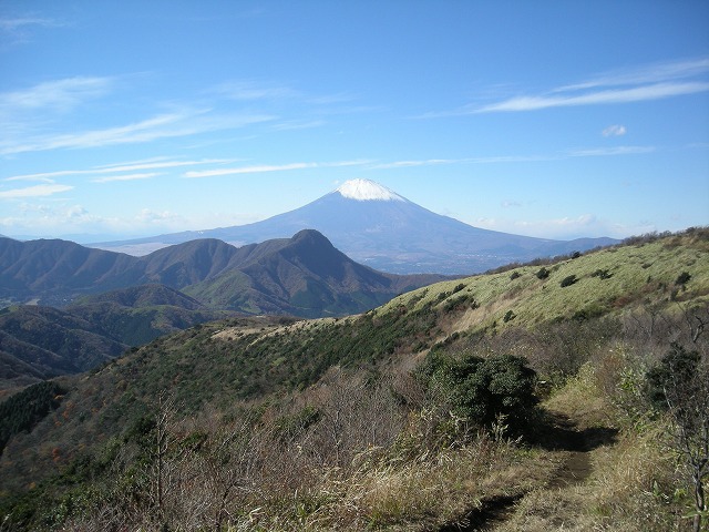 kintoki083.jpg