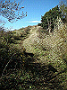 kintoki085_thumb.png