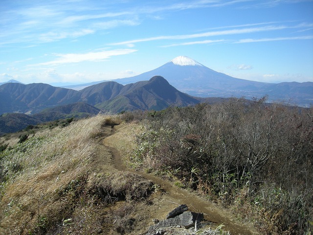 kintoki087.jpg