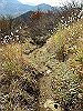 kintoki091_thumb.png
