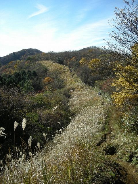 kintoki093.jpg