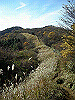 kintoki093_thumb.png