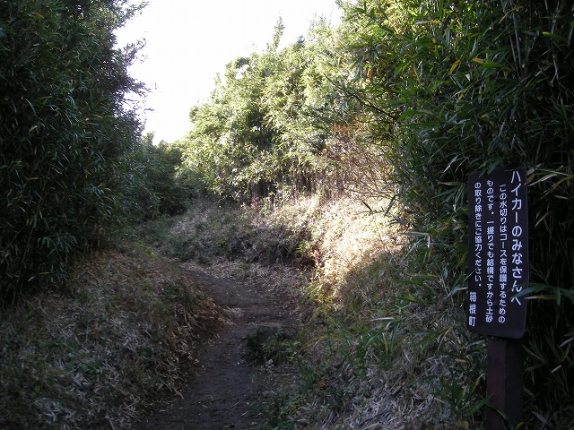 kintoki110.jpg