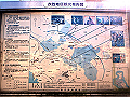 kinugasa03_thumb.png