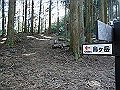 karasu02_thumb.png
