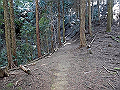 karasu03_thumb.png