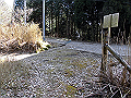 karasu08_thumb.png