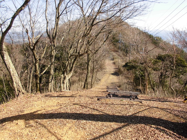 karasu28.jpg