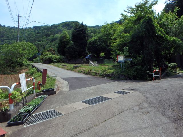 kuki020.jpg