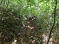 kuki036_thumb.png