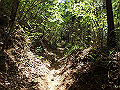 kuki038_thumb.png