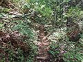 kuki045_thumb.png
