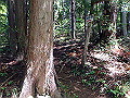 kuki053_thumb.png