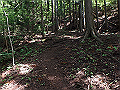 kuki055_thumb.png
