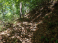kuki056_thumb.png