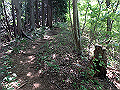 kuki065_thumb.png